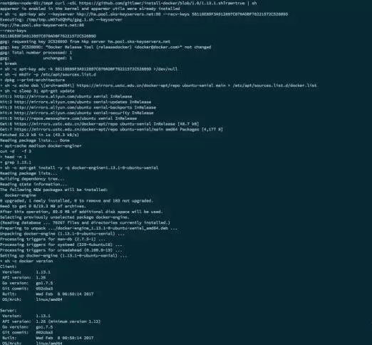 在特定环境中安装指定版本的Docker插图