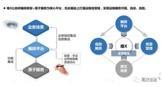 维X