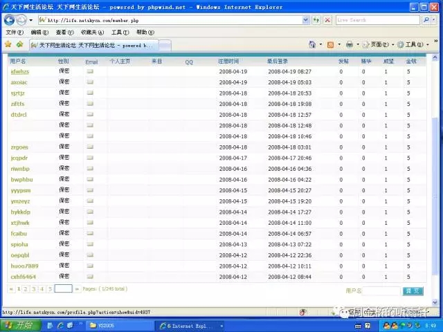 PHPWind