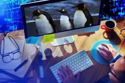 让“懒惰” Linux 运维工程师事半功倍的 10 个关键技巧！缩略图