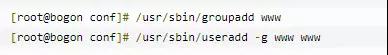 给小白的 Nginx 30分钟入门指南插图15