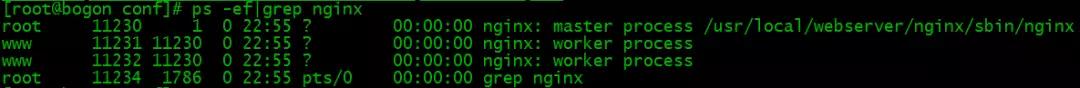 给小白的 Nginx 30分钟入门指南插图20