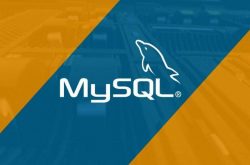 MySQL