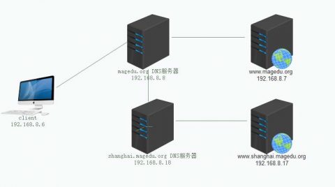 DNS服务配置与管理插图4