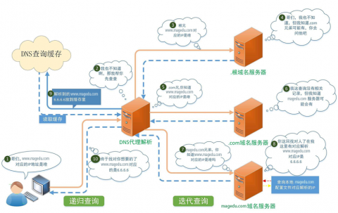 DNS服务配置与管理插图1