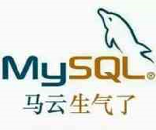 Mysql安装插图