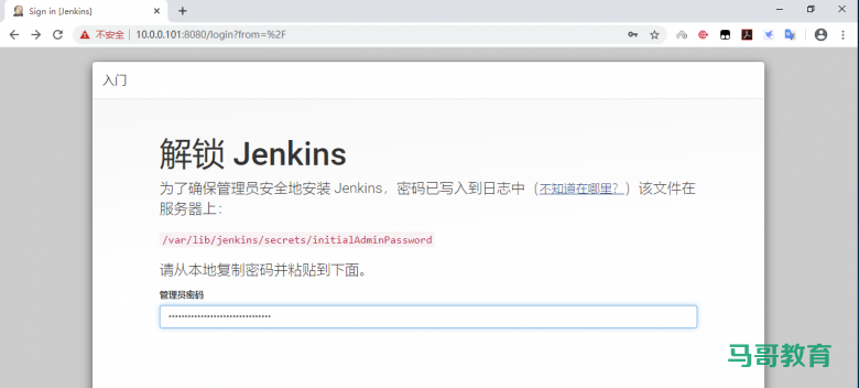Jenkins安装部署插图2