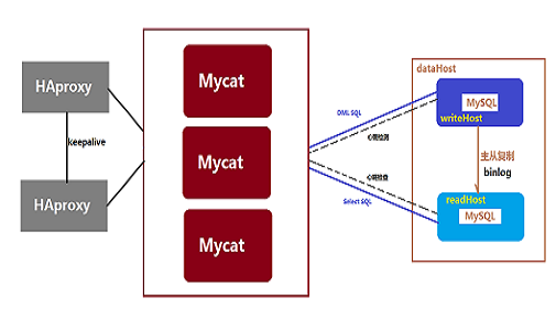 Mysql中间件代理插图8
