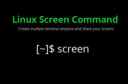 介绍一款好用的终端工具 Screen缩略图