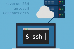 用autossh工具进行端口转发缩略图 用autossh工具进行端口转发缩略图