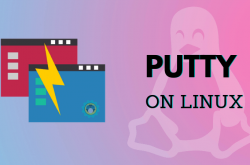 PuTTY: latest release (0.76)缩略图 PuTTY: latest release (0.76)缩略图