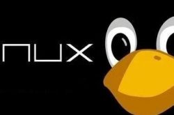 Linux 操作的良好习惯总结缩略图
