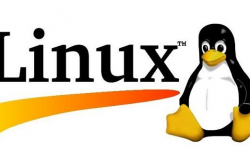40 个简单又有效的 Linux Shell 脚本示例缩略图
