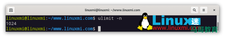 Linux 上 Nginx 获得最佳性能的 8 种方法插图3 Linux 上 Nginx 获得最佳性能的 8 种方法插图3