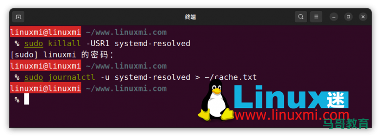 你真的会在 Linux 上查看和刷新 DNS 缓存吗?插图 你真的会在 Linux 上查看和刷新 DNS 缓存吗?插图
