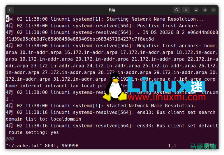 你真的会在 Linux 上查看和刷新 DNS 缓存吗?插图1 你真的会在 Linux 上查看和刷新 DNS 缓存吗?插图1