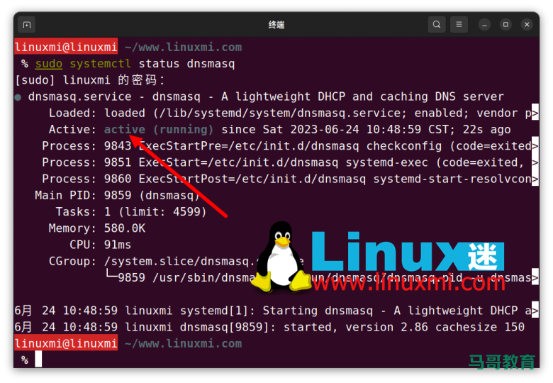 你真的会在 Linux 上查看和刷新 DNS 缓存吗?插图5 你真的会在 Linux 上查看和刷新 DNS 缓存吗?插图5