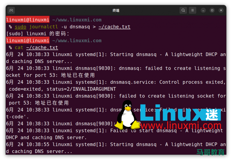 你真的会在 Linux 上查看和刷新 DNS 缓存吗?插图7 你真的会在 Linux 上查看和刷新 DNS 缓存吗?插图7