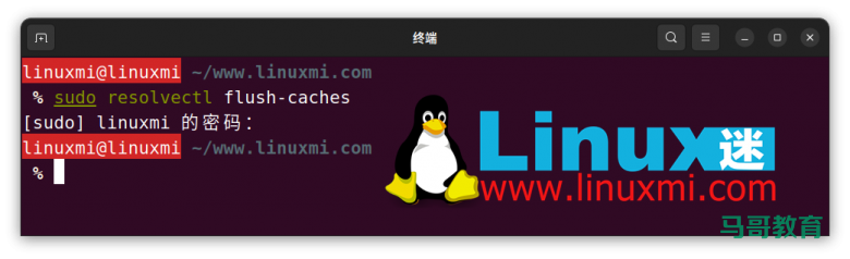 你真的会在 Linux 上查看和刷新 DNS 缓存吗?插图8 你真的会在 Linux 上查看和刷新 DNS 缓存吗?插图8