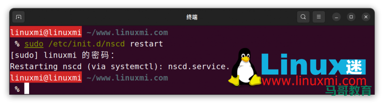 你真的会在 Linux 上查看和刷新 DNS 缓存吗?插图9 你真的会在 Linux 上查看和刷新 DNS 缓存吗?插图9