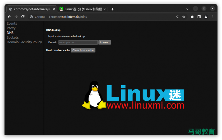你真的会在 Linux 上查看和刷新 DNS 缓存吗?插图10 你真的会在 Linux 上查看和刷新 DNS 缓存吗?插图10