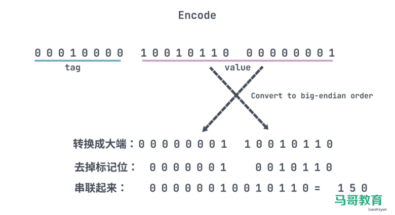 配图清新的Protobuf 编码&避坑指南插图4