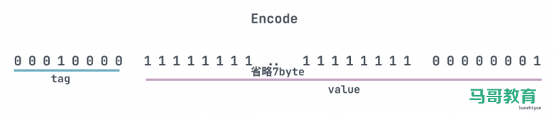配图清新的Protobuf 编码&避坑指南插图5