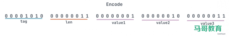 配图清新的Protobuf 编码&避坑指南插图6 配图清新的Protobuf 编码&避坑指南插图6