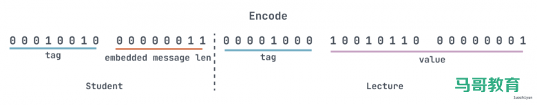 配图清新的Protobuf 编码&避坑指南插图7 配图清新的Protobuf 编码&避坑指南插图7