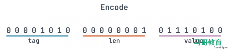 配图清新的Protobuf 编码&避坑指南插图1 配图清新的Protobuf 编码&避坑指南插图1