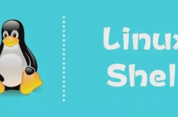 1.99限时秒杀|shell脚本入门及进阶实战缩略图 1.99限时秒杀|shell脚本入门及进阶实战缩略图