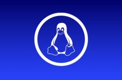 让你配置linux 路由，你该怎么配置缩略图