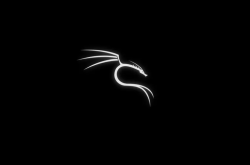 2024最新Kali Linux入门教程（全面详细），收藏过万缩略图
