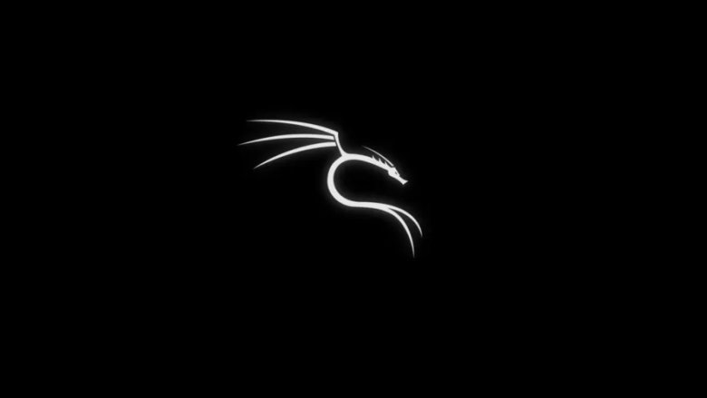 2024最新Kali Linux入门教程（全面详细），收藏过万插图