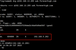 MySQL 8主从延迟降至0.2秒内！基于Binlog并行复制的终极优化方案缩略图