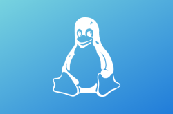 Linux SSH 安全加固:密钥登录、权限和访问限制缩略图 Linux SSH 安全加固:密钥登录、权限和访问限制缩略图